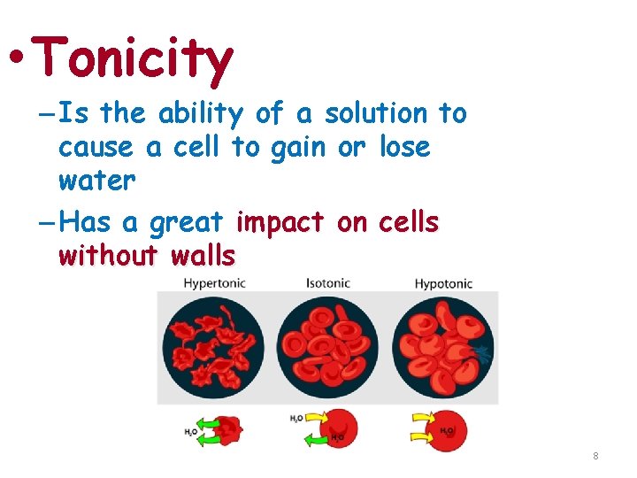 Water Balance of Cells Without Walls • Tonicity – Is the ability of a