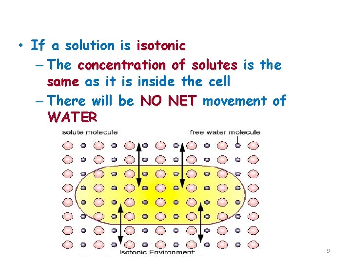 Isotonic Solutions • If a solution is isotonic – The concentration of solutes is