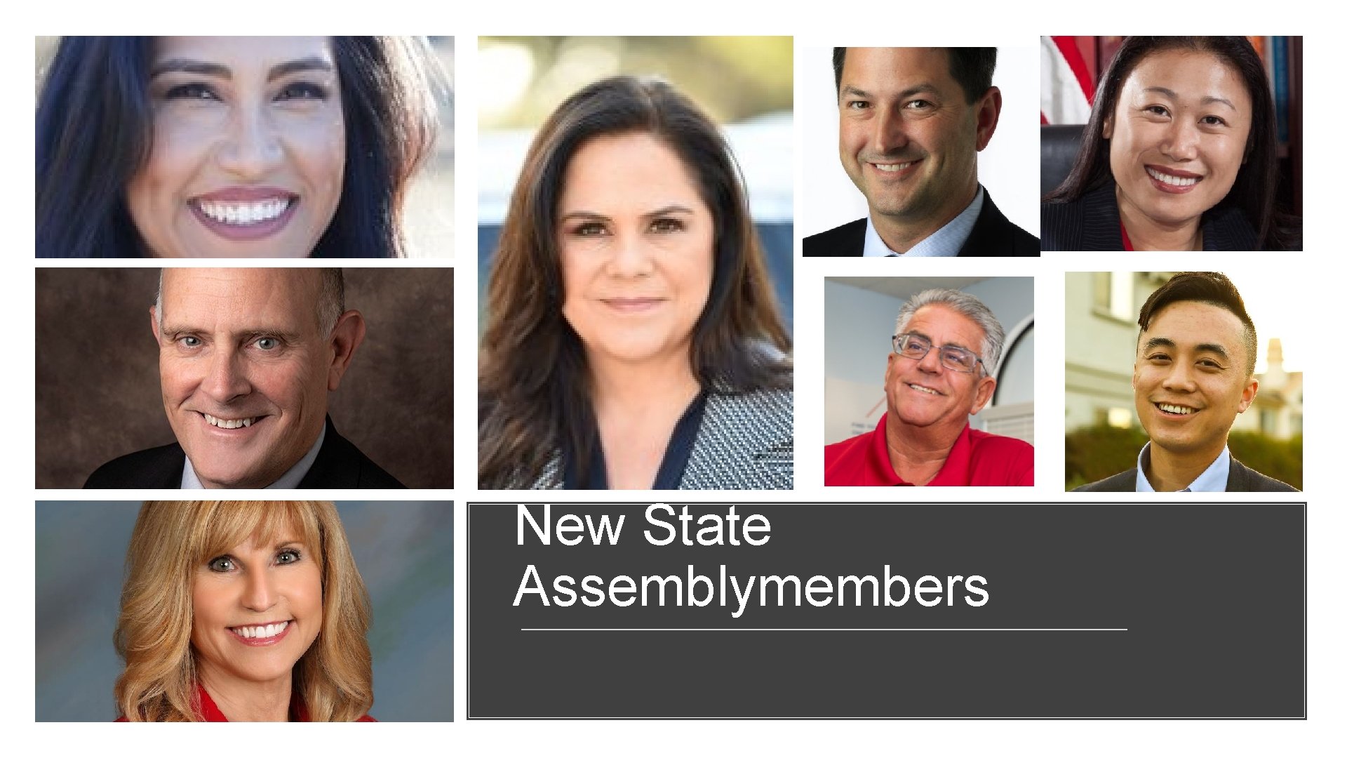 New State Assemblymembers 
