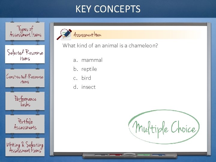 KEY CONCEPTS What kind of an animal is a chameleon? a. b. c. d.