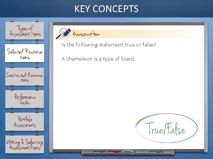KEY CONCEPTS Is the following statement true or false? A chameleon is a type