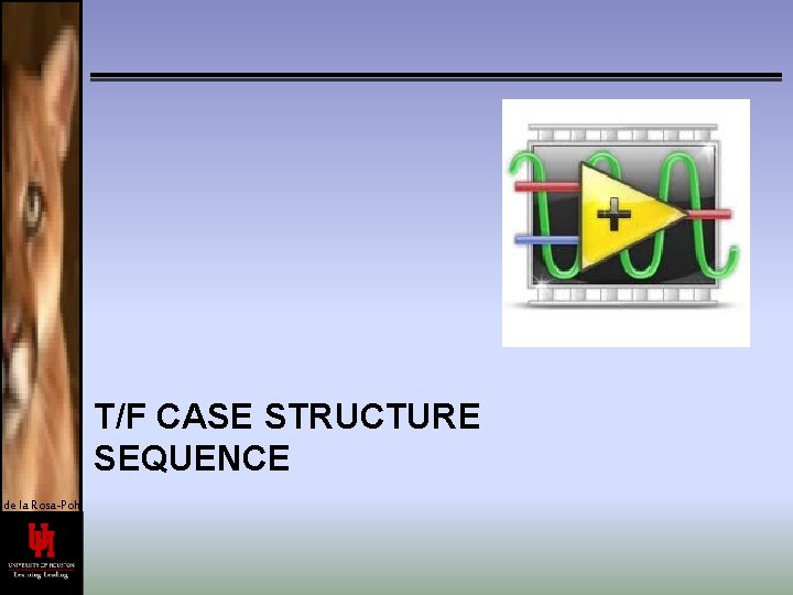 T/F CASE STRUCTURE SEQUENCE de la Rosa-Pohl 