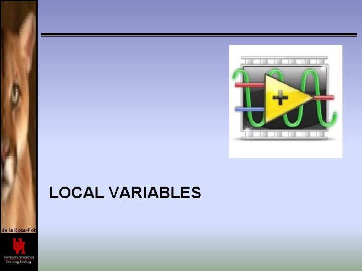 LOCAL VARIABLES de la Rosa-Pohl 