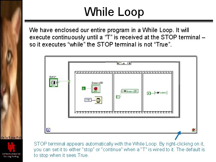While Loop We have enclosed our entire program in a While Loop. It will