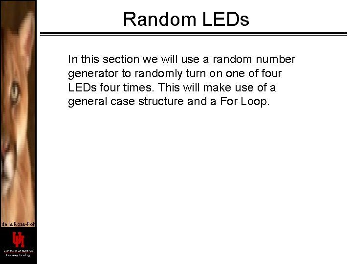 Random LEDs In this section we will use a random number generator to randomly