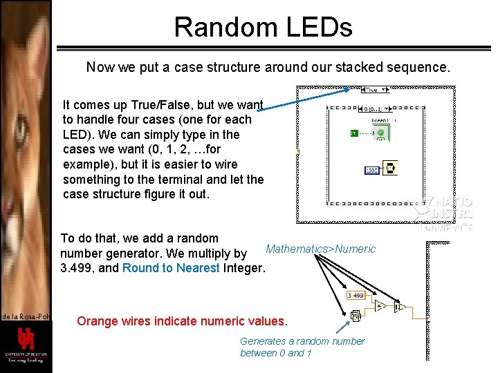 Random LEDs Now we put a case structure around our stacked sequence. It comes