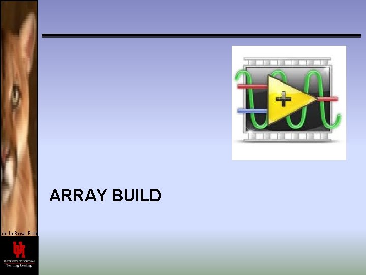 ARRAY BUILD de la Rosa-Pohl 