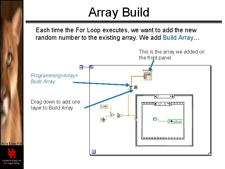 Array Build Each time the For Loop executes, we want to add the new