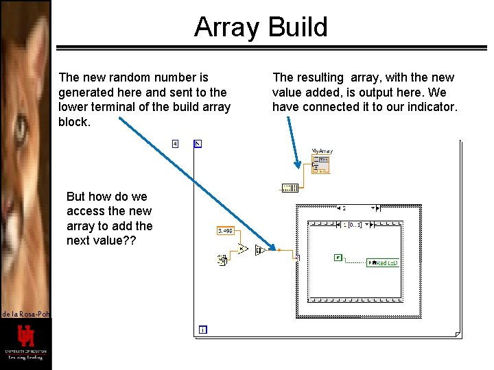Array Build The new random number is generated here and sent to the lower