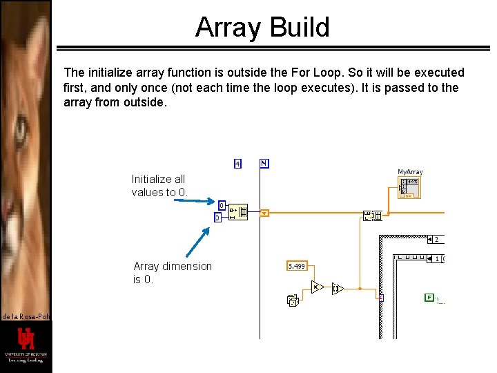 Array Build The initialize array function is outside the For Loop. So it will