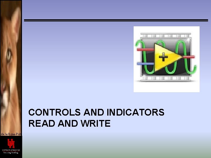 CONTROLS AND INDICATORS READ AND WRITE de la Rosa-Pohl 