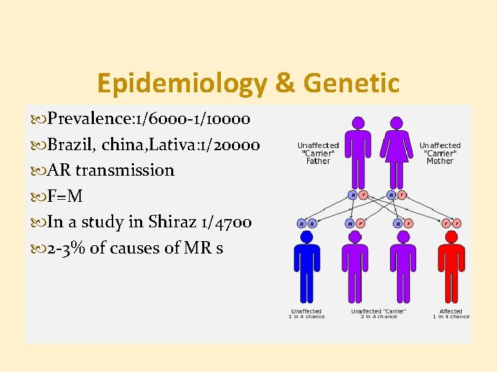 Epidemiology & Genetic Prevalence: 1/6000 -1/10000 Brazil, china, Lativa: 1/20000 AR transmission F=M In