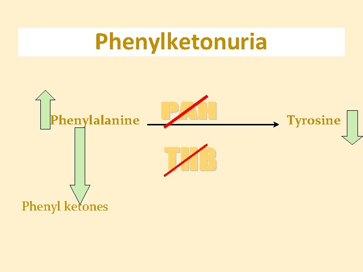 Phenylketonuria Phenylalanine Phenyl ketones Tyrosine 