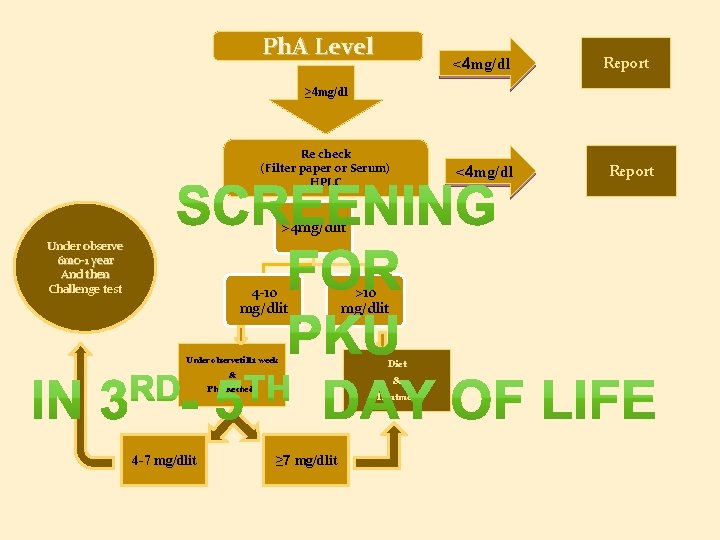 Ph. A Level <4 mg/dl Report ≥ 4 mg/dl Re check (Filter paper or