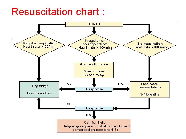 Resuscitation chart : • . 