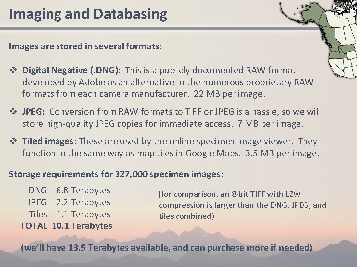 Imaging and Databasing Images are stored in several formats: v Digital Negative (. DNG):