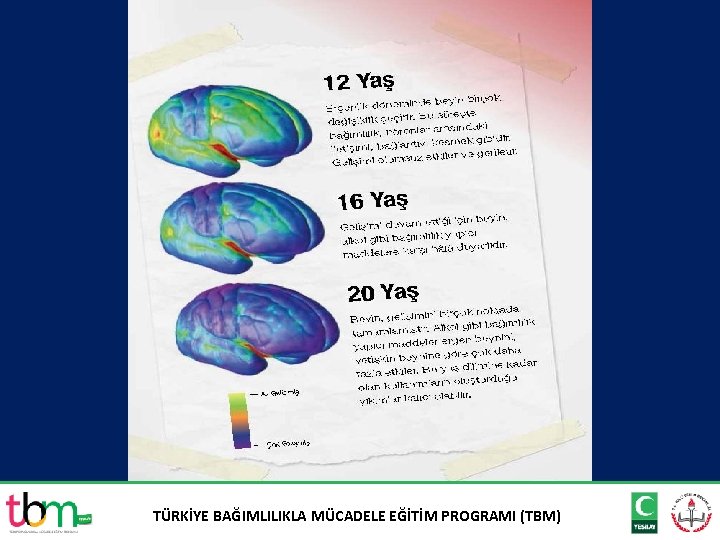 TÜRKİYE BAĞIMLILIKLA MÜCADELE EĞİTİM PROGRAMI (TBM) 