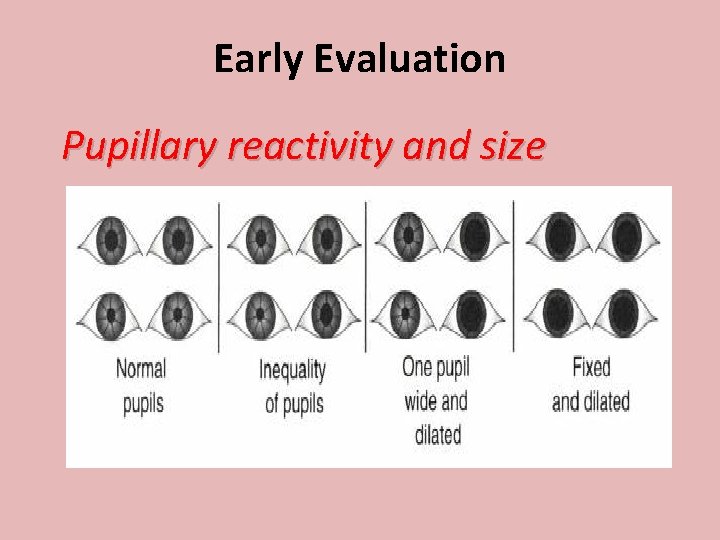 Early Evaluation Pupillary reactivity and size 