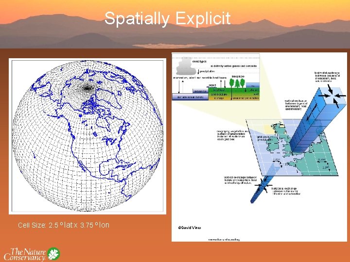 Spatially Explicit Cell Size: 2. 5 o lat x 3. 75 o lon ©David