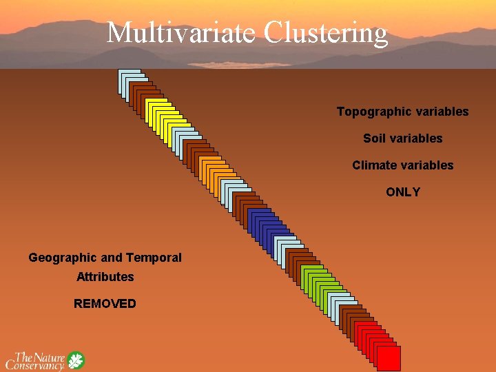 Multivariate Clustering Topographic variables Soil variables Climate variables ONLY Geographic and Temporal Attributes REMOVED