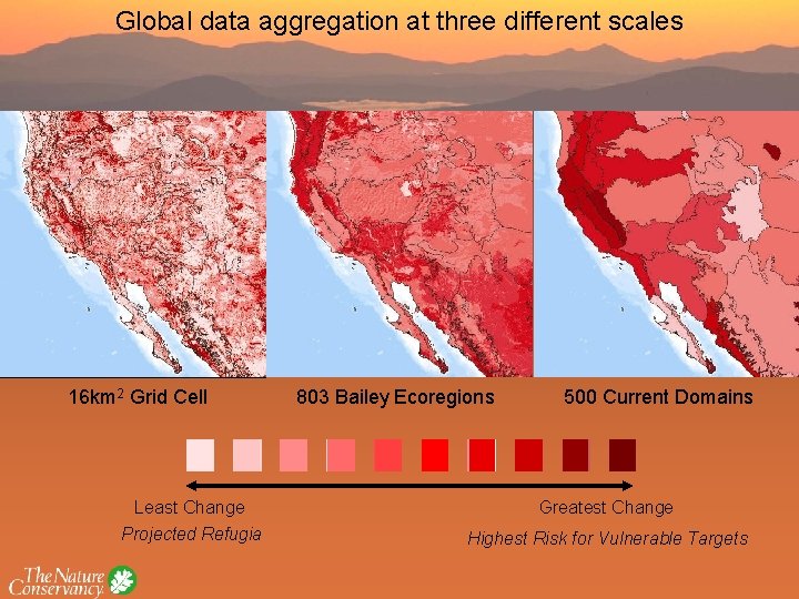 Global data aggregation at three different scales 16 km 2 Grid Cell 803 Bailey