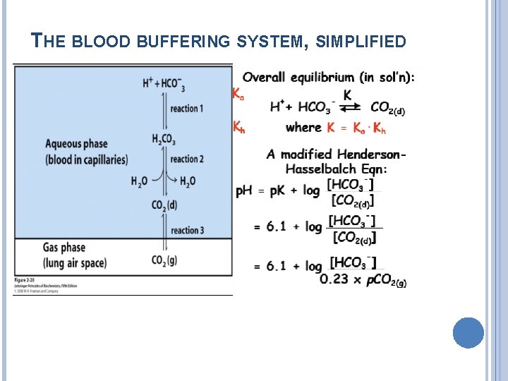 THE BLOOD BUFFERING SYSTEM, SIMPLIFIED 