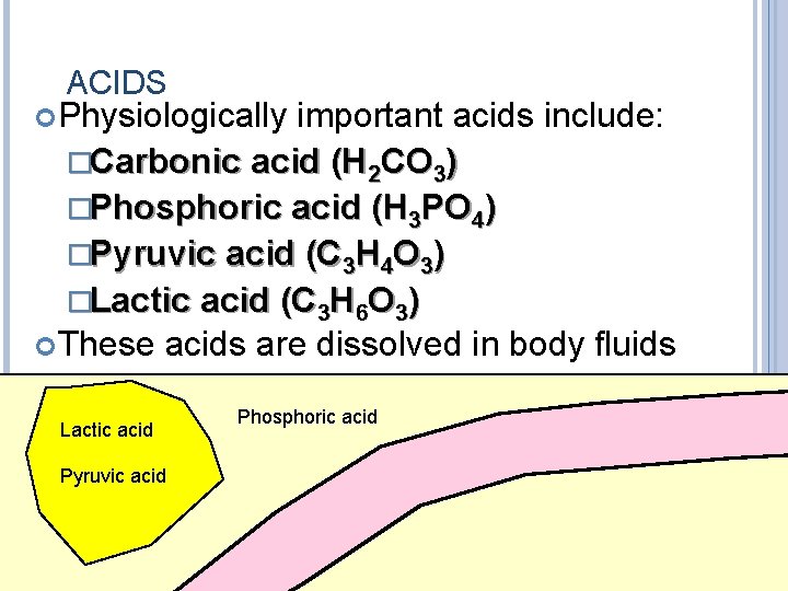 ACIDS Physiologically important acids include: �Carbonic acid (H 2 CO 3) �Phosphoric acid (H