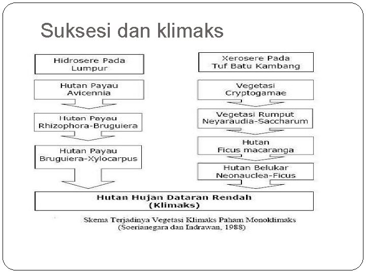 Suksesi dan klimaks 