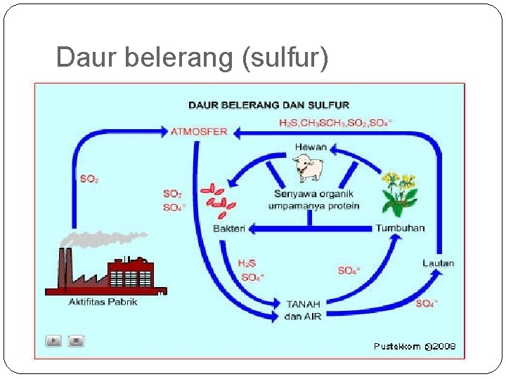 Daur belerang (sulfur) 