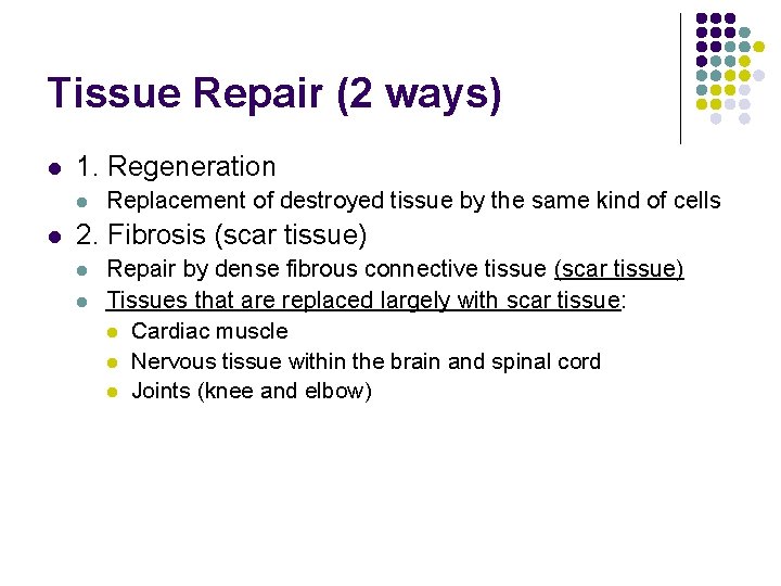 Tissue Repair (2 ways) l 1. Regeneration l l Replacement of destroyed tissue by Tissue Repair (2 ways) l 1. Regeneration l l Replacement of destroyed tissue by