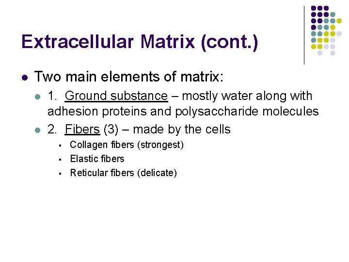 Extracellular Matrix (cont. ) l Two main elements of matrix: l l 1. Ground Extracellular Matrix (cont. ) l Two main elements of matrix: l l 1. Ground