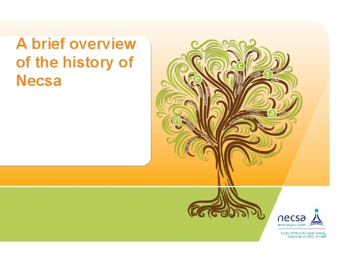 A brief overview of the history of Necsa 