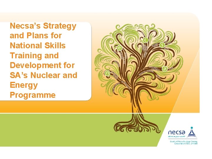 Necsa’s Strategy and Plans for National Skills Training and Development for SA’s Nuclear and
