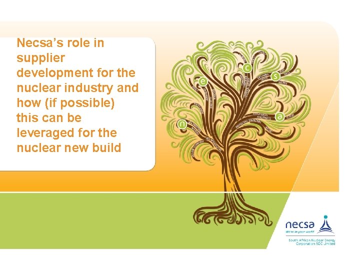 Necsa’s role in supplier development for the nuclear industry and how (if possible) this