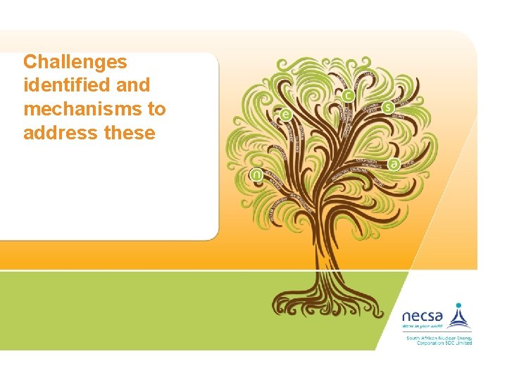 Challenges identified and mechanisms to address these 