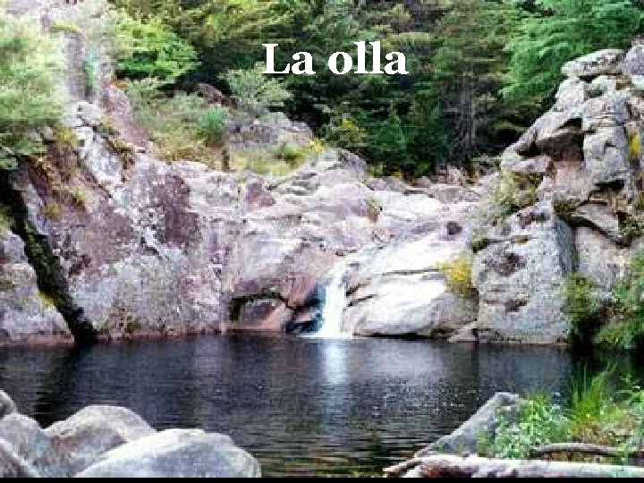 La olla 