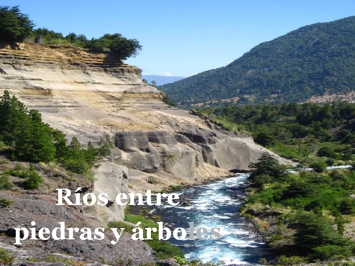 Ríos entre piedras y árboles 