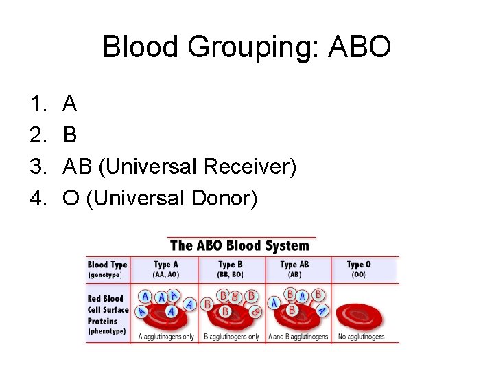 Blood Grouping: ABO 1. 2. 3. 4. A B AB (Universal Receiver) O (Universal