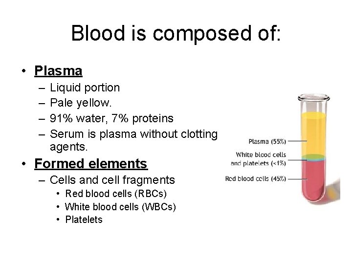 Blood is composed of: • Plasma – – Liquid portion Pale yellow. 91% water,