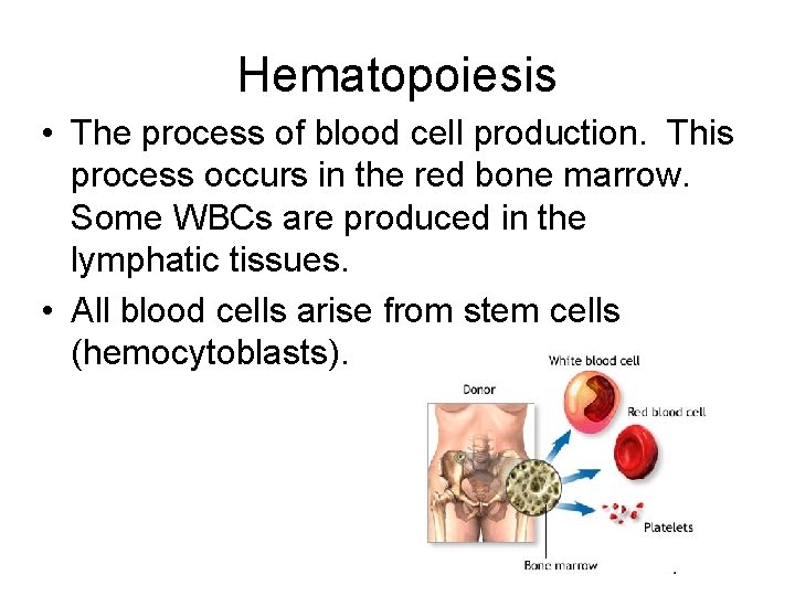 Hematopoiesis • The process of blood cell production. This process occurs in the red