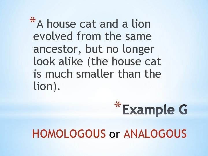 *A house cat and a lion evolved from the same ancestor, but no longer