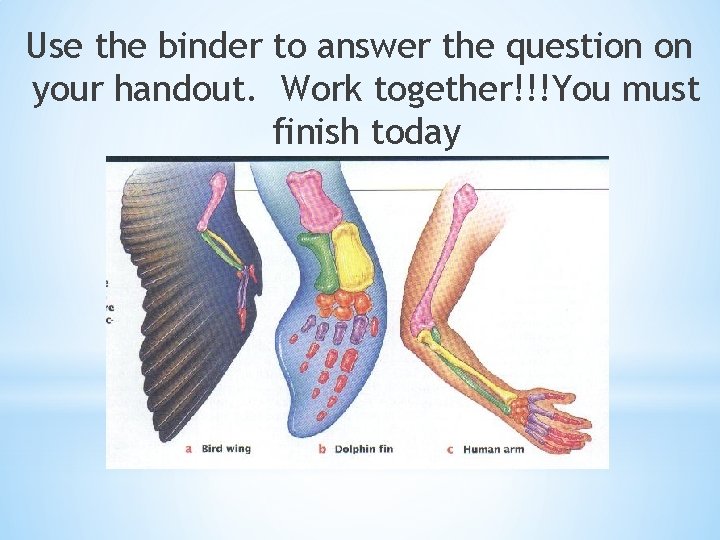 Use the binder to answer the question on your handout. Work together!!!You must finish