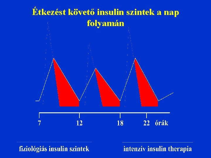 Étkezést követő insulin szintek a nap folyamán 