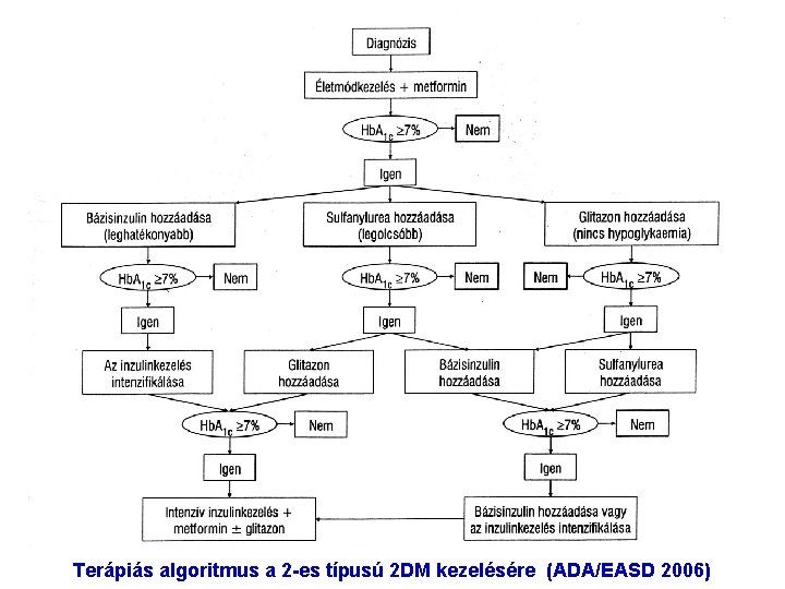 Terápiás algoritmus a 2 -es típusú 2 DM kezelésére (ADA/EASD 2006) 