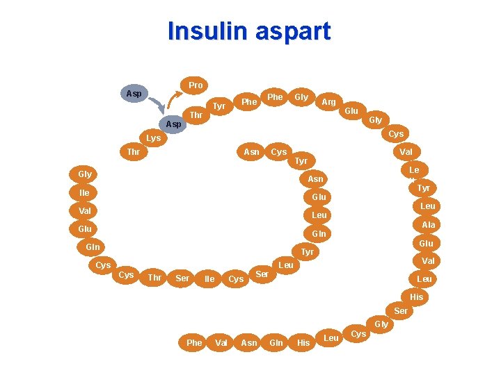 Insulin aspart Pro Asp Thr Asp B 30 A 1 Lys Phe Tyr Phe