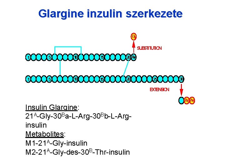 Glargine inzulin szerkezete Gly A-CHAIN SUBSTITUTION 1 5 10 15 20 Asn 1 5