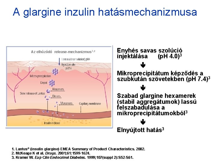 A glargine inzulin hatásmechanizmusa Az elhúzódó release-mechanizmus 1, 2 Enyhés savas szolúció injektálása (p.