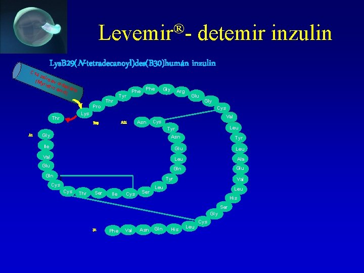 Levemir®- detemir inzulin Lys. B 29(N-tetradecanoyl)des(B 30)humán inzulin C 14 zsí (My rsav o