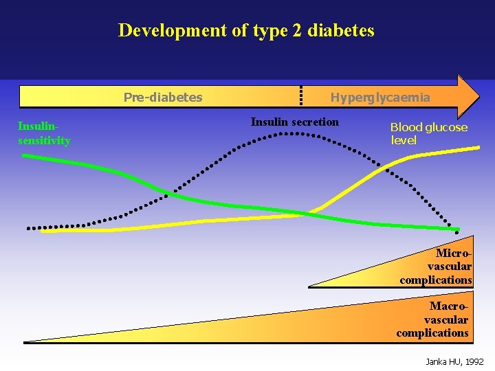Development of type 2 diabetes Pre-diabetes Insulinsensitivity Hyperglycaemia Insulin secretion Blood glucose level Microvascular