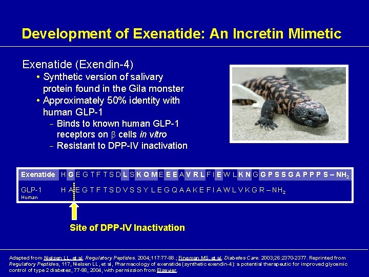 Development of Exenatide: An Incretin Mimetic Exenatide (Exendin-4) • Synthetic version of salivary protein